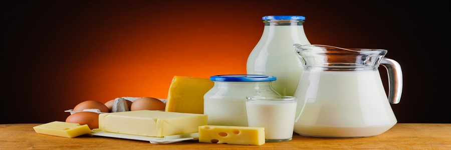peynir süt organik