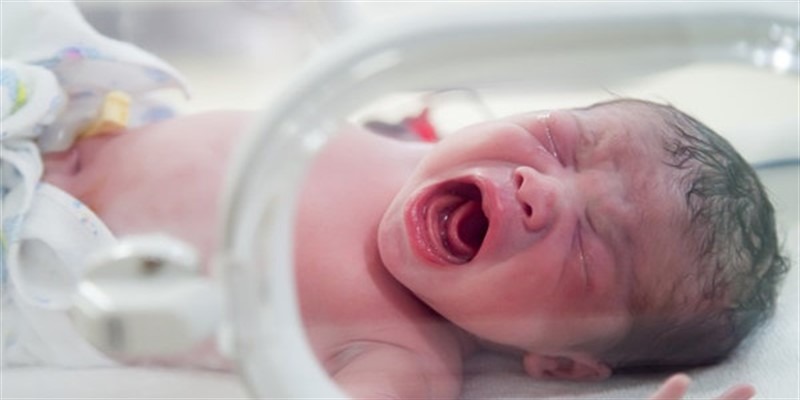 Yeni Doğan Bebeğe Kimlik Çıkarma Ücreti 2019 Yılı İtibari İle Ne Kadar?